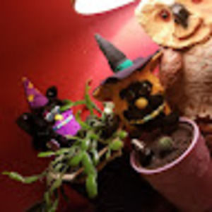 Meet your Posher, Edwin